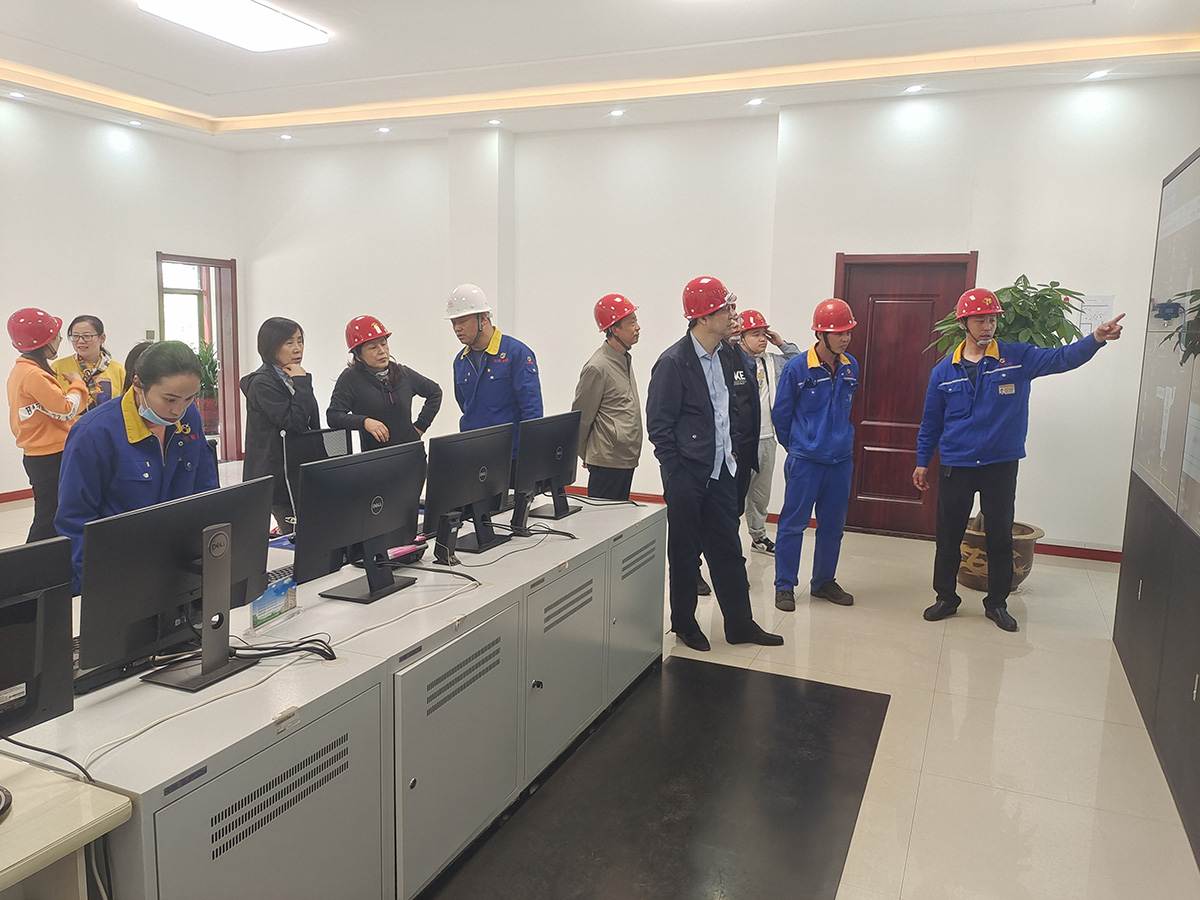 超低排放验收专家会议